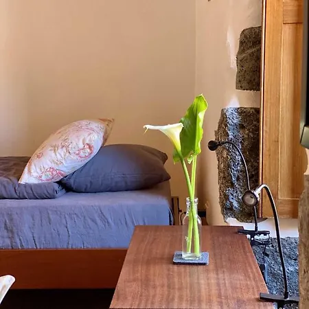 Quinta Perpetua, Casa Corvo Nyaraló *