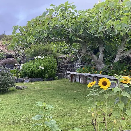 Quinta Perpetua, Casa Corvo בית נופש Alto do Sul