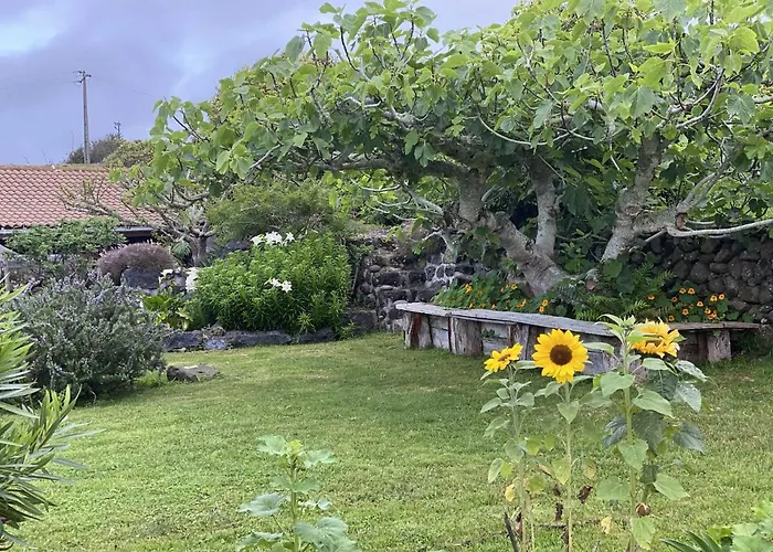 Quinta Perpetua, Casa Corvo Dom wakacyjny Alto do Sul