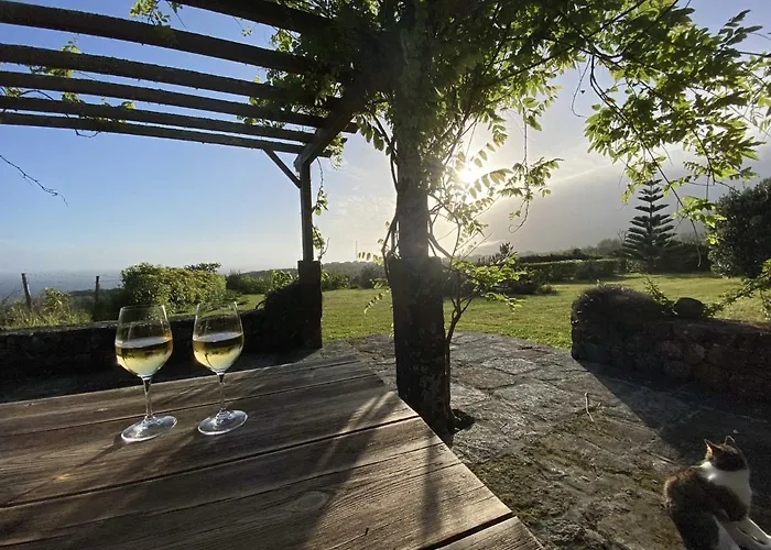 Quinta Perpetua, Casa Corvo Dom wakacyjny Alto do Sul